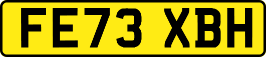 FE73XBH