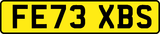 FE73XBS