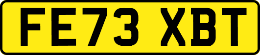 FE73XBT