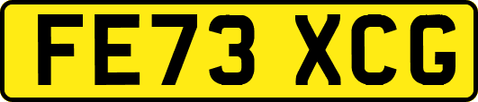 FE73XCG