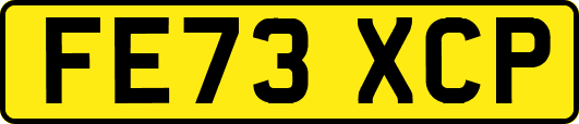 FE73XCP