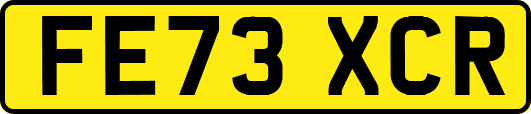 FE73XCR