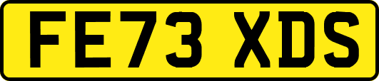 FE73XDS
