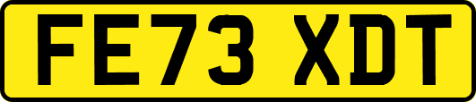 FE73XDT