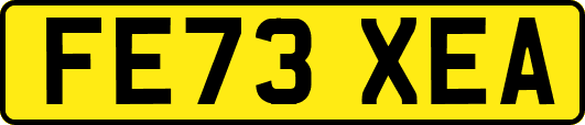 FE73XEA