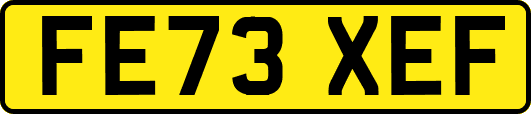 FE73XEF