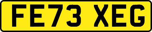 FE73XEG
