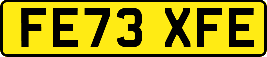 FE73XFE