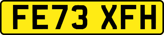 FE73XFH