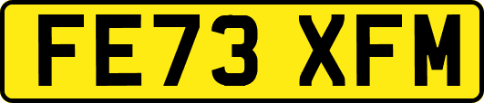FE73XFM