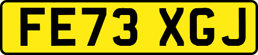 FE73XGJ