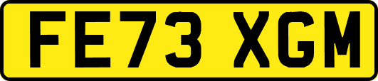 FE73XGM