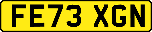 FE73XGN