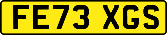 FE73XGS