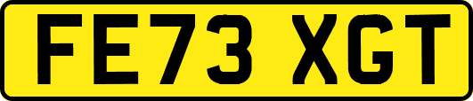 FE73XGT