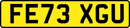 FE73XGU