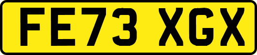 FE73XGX