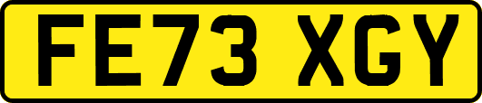 FE73XGY