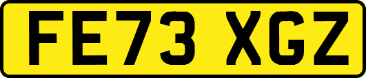 FE73XGZ