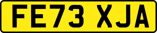 FE73XJA