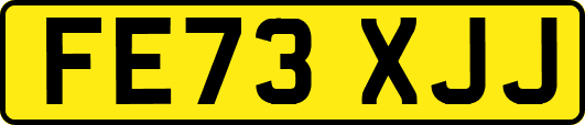 FE73XJJ
