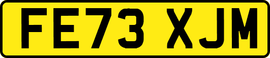 FE73XJM