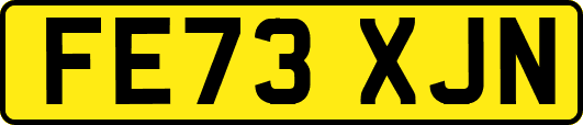 FE73XJN
