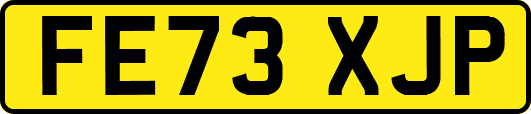 FE73XJP