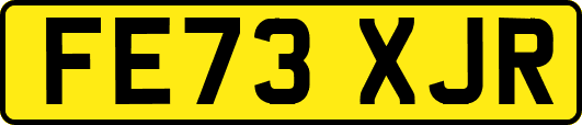 FE73XJR