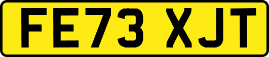 FE73XJT