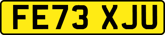 FE73XJU