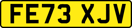 FE73XJV