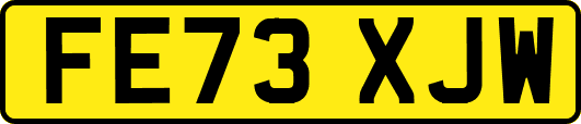 FE73XJW