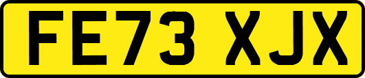 FE73XJX