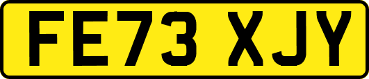 FE73XJY