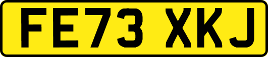 FE73XKJ