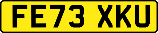 FE73XKU