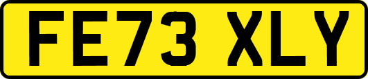 FE73XLY