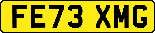 FE73XMG