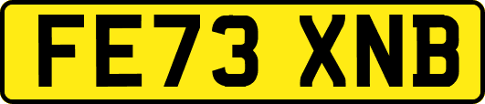 FE73XNB