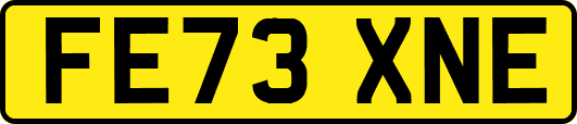 FE73XNE