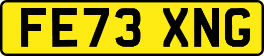 FE73XNG