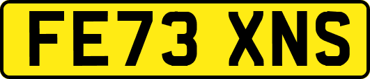 FE73XNS
