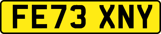 FE73XNY