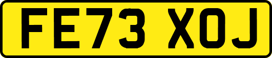 FE73XOJ
