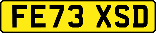 FE73XSD
