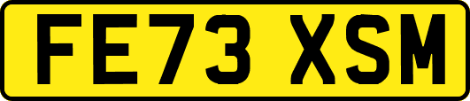 FE73XSM