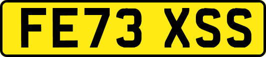 FE73XSS