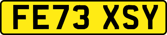 FE73XSY