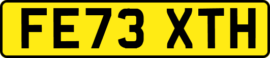FE73XTH